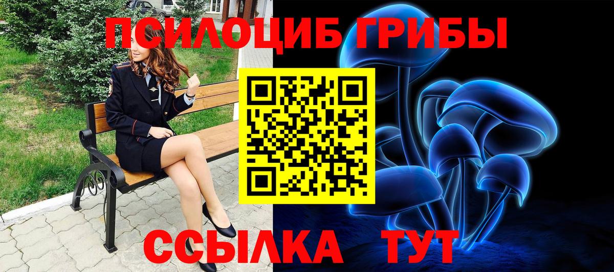Псилоцибиновые грибы Psilocybine cubensis Вологда