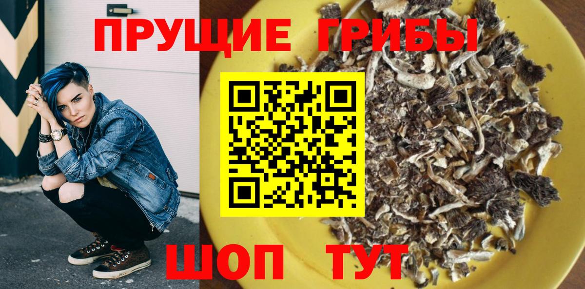 Вологда  Псилоцибиновые грибы Cubensis  Вход с VPN 